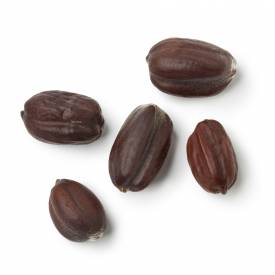 Jojoba oil (clear)
